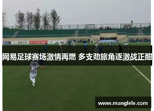 网易足球赛场激情再燃 多支劲旅角逐激战正酣